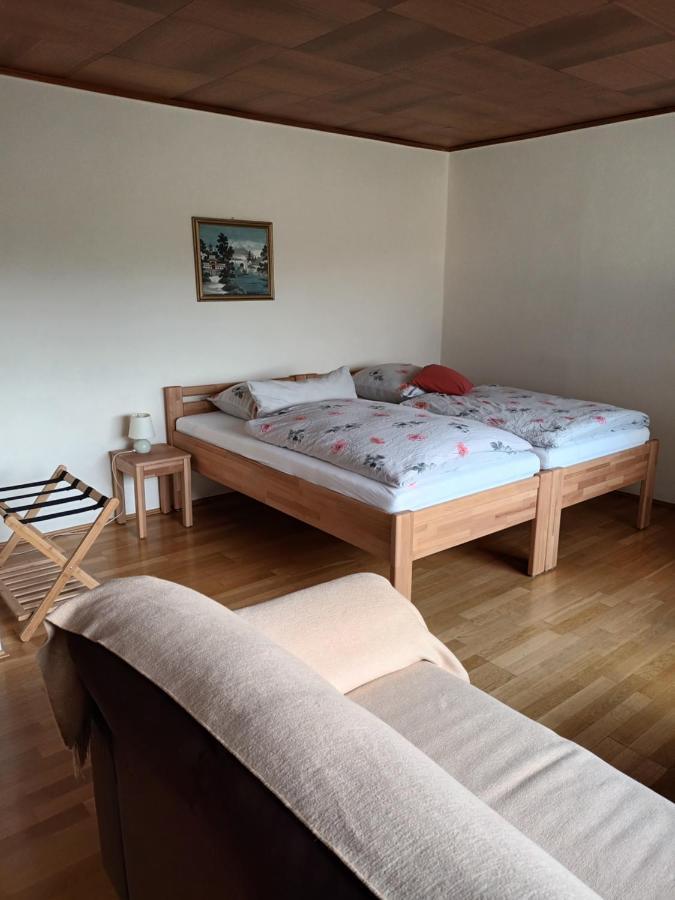 Buedingen-Ferienwohnung Bausch Buitenkant foto