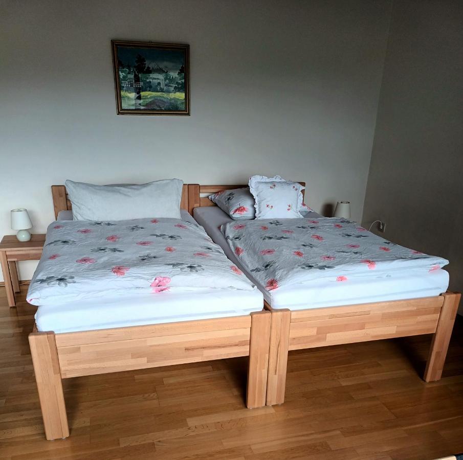 Buedingen-Ferienwohnung Bausch Buitenkant foto
